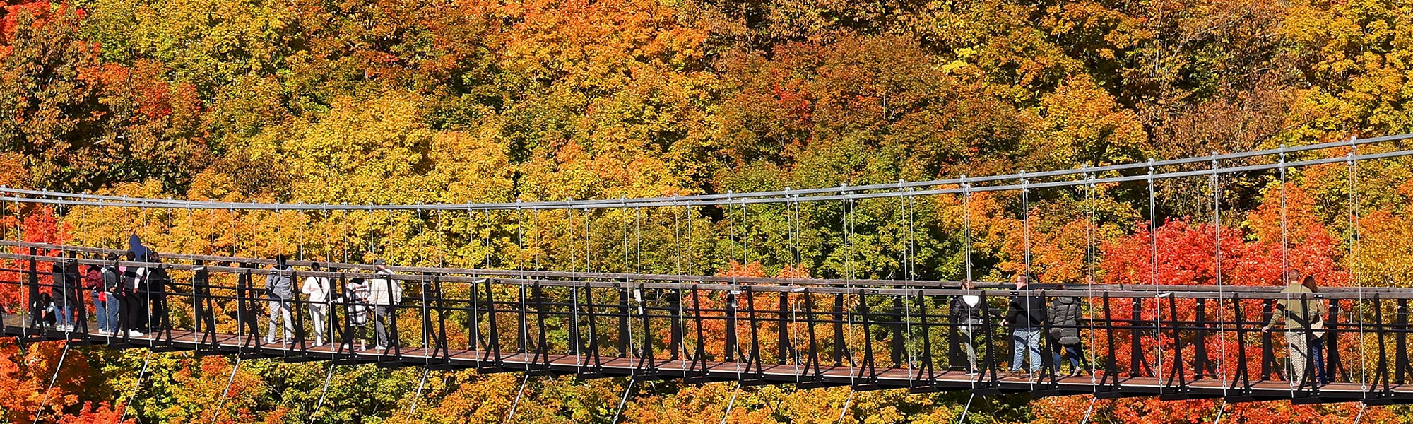 2025 Midwest Fall Colors
