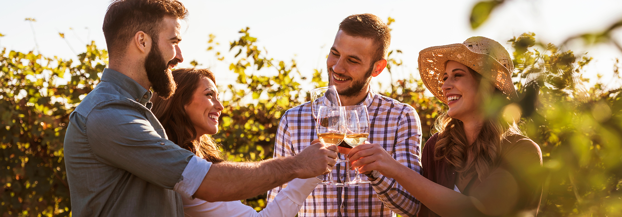 Wine Road Trips