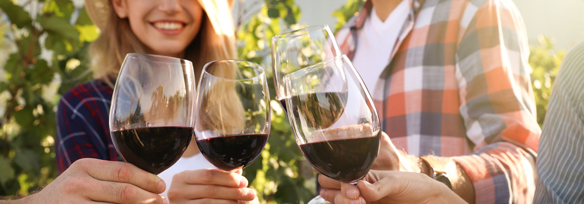 Wisconsin Wine Weekend
