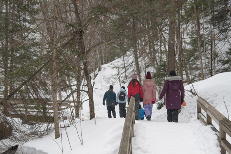 Snow Shoeing